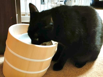 I1ybJ43LyiYv81Q100qO.JPG?w=940&h=940