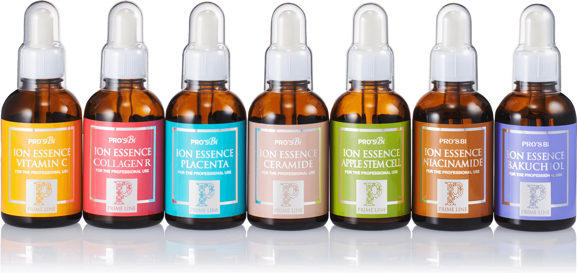 ※自社商品内で