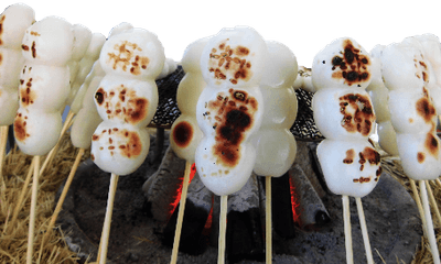 提供時間：10時～16時