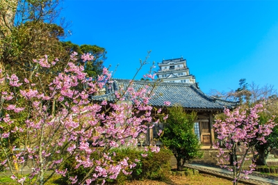 I4UCrZmHqzFzqhsGx2df.jpg?w=940&h=940