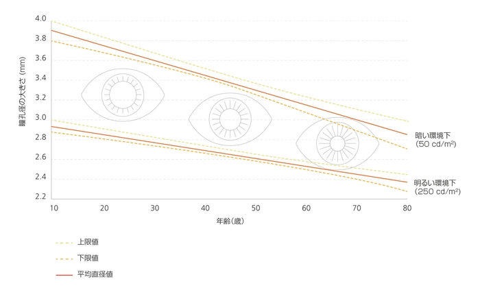 年齢と瞳孔サイズの関係性 