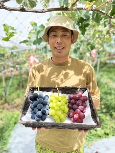 I6bYngBWDrBDXXM8CtCP.jpg?w=940&h=940