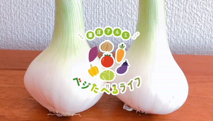 ソムリエ農家様用　玉ねぎ苗4000本 ソムリエ農家様用 玉ねぎ苗4000本 ソムリエ農家様用 玉ねぎ苗4000本