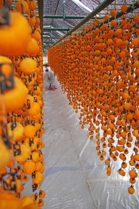 I8sL9tEcfCF3AOxejaS9.JPG?w=940&h=940