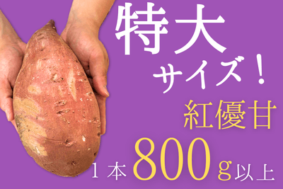 I9kqyYKpdhSimDva0Pxd.png?w=940&h=940