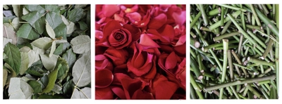 IAhhibMyMLNG3DVHWQxA.jpg?w=940&h=940