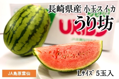 IDfi0dtT9urrh6qQac16.jpg?w=940&h=940