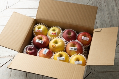 IErdCoJ6k4EaMX6i50Ah.jpg?w=940&h=940