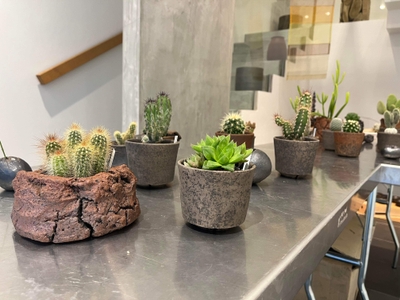 IG1plOXKxMbD53rMgU4K.jpg?w=940&h=940