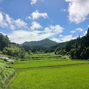 IGfbABLrxo6VnhuScwOv.jpg?w=940&h=940