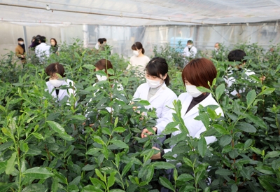 IH2NeASKh2n5uufR4mae.jpg?w=940&h=940