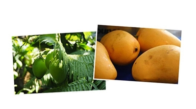 IIIYJjpeJifr3SPG6Ijt.jpeg?w=940&h=940