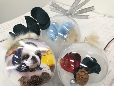 可愛い愛犬の姿がオーナメントに