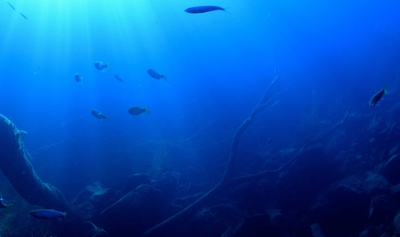 IIuqYBVicfQytJh21P6N.jpg?w=940&h=940