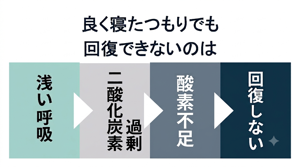 眠りづらさの正体──シリーズ第三回 浅い呼吸が"二酸化炭素過剰"を生み、爆睡型の危険な眠りをつくる構造を解説