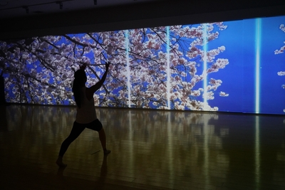 IJK7XL4fb6pbDFbPOs3e.JPG?w=940&h=940