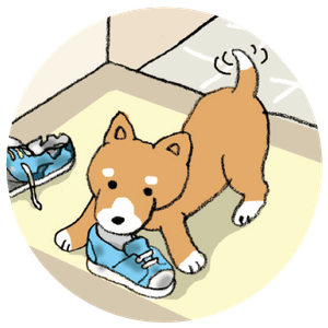 IKOL5r5hbDpUdCJDVPu6.png?w=940&h=940