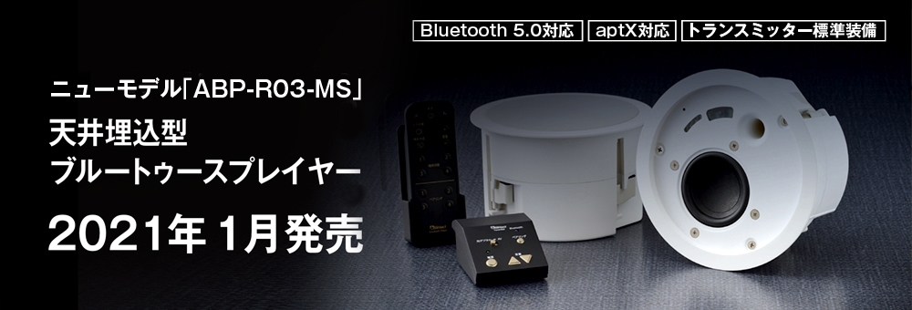ABANIACT ABP-R02-MS 天井理込型 増設スピーカーセット 未使用 アバニアクト ブルートゥースプレイヤー 増設スピーカー付