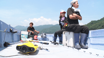 IMuOQx6ANtsyMQSljyec.png?w=940&h=940