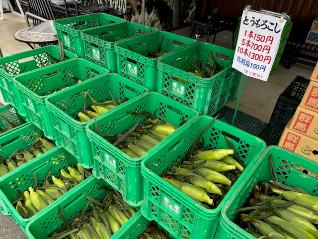 軒先テント市 とうもろこし