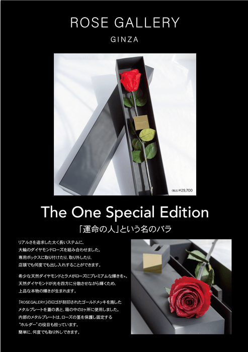 ザ・ワン スペシャルエディション