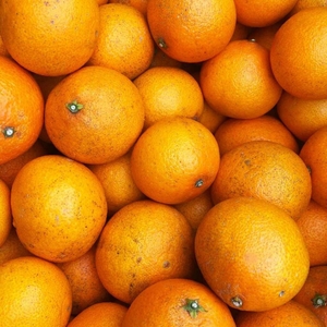 IOCO9Ueo1wa4PZQTPX0u.jpg?w=940&h=940