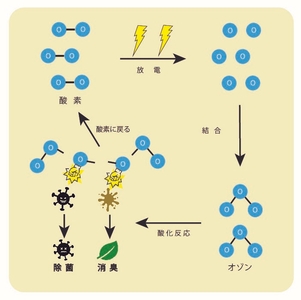 IOFglWNxbxP8XiodvY5X.jpg?w=940&h=940