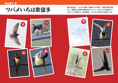 IOGDDk0TEnU3qQW4MCpv.jpg?w=940&h=940