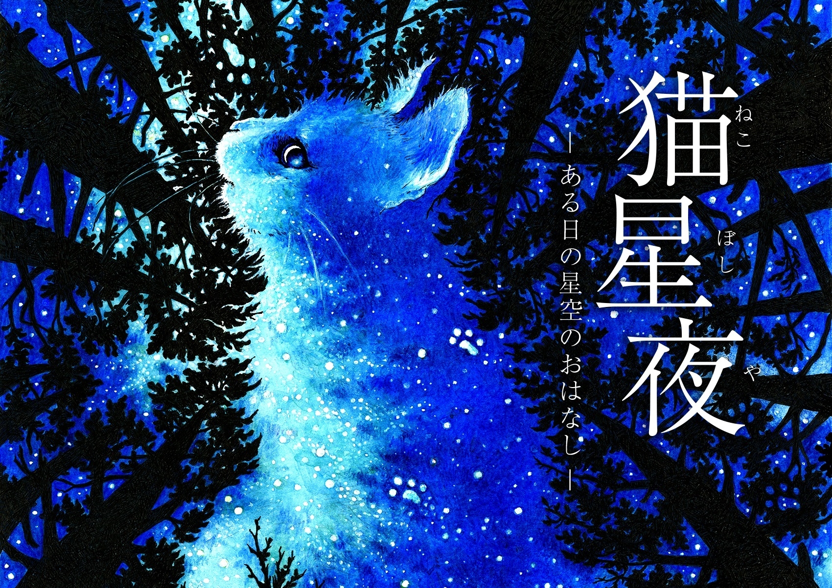 マタタビのアロマ香るヒーリングプラネタリウム作品 「猫星夜 -ある日