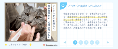 IPZ1CCmSKUcAPb98RfRK.png?w=940&h=940