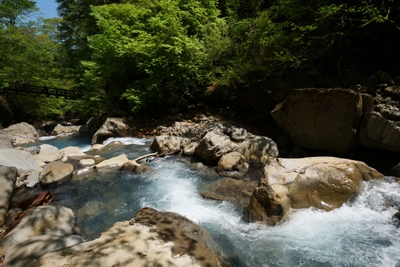 IQRG4uF60BEQn4InV3PZ.jpg?w=940&h=940