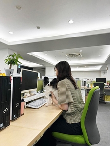 IQnaoiKJAYZXHrvBktnt.jpg?w=940&h=940