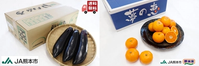 期間限定で、送料無料でお得にお買い物！ 早生みかん「夢の恵」と「肥後のでこなす」が産地直送通販サイト「ＪＡタウン」で 販売開始！