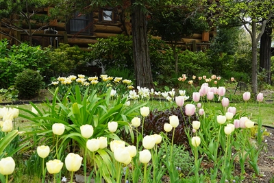 ISlX0wzXBn1GOWMLYfbS.JPG?w=940&h=940