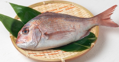 ISr64cOZViYW0a4U4nEL.jpg?w=940&h=940