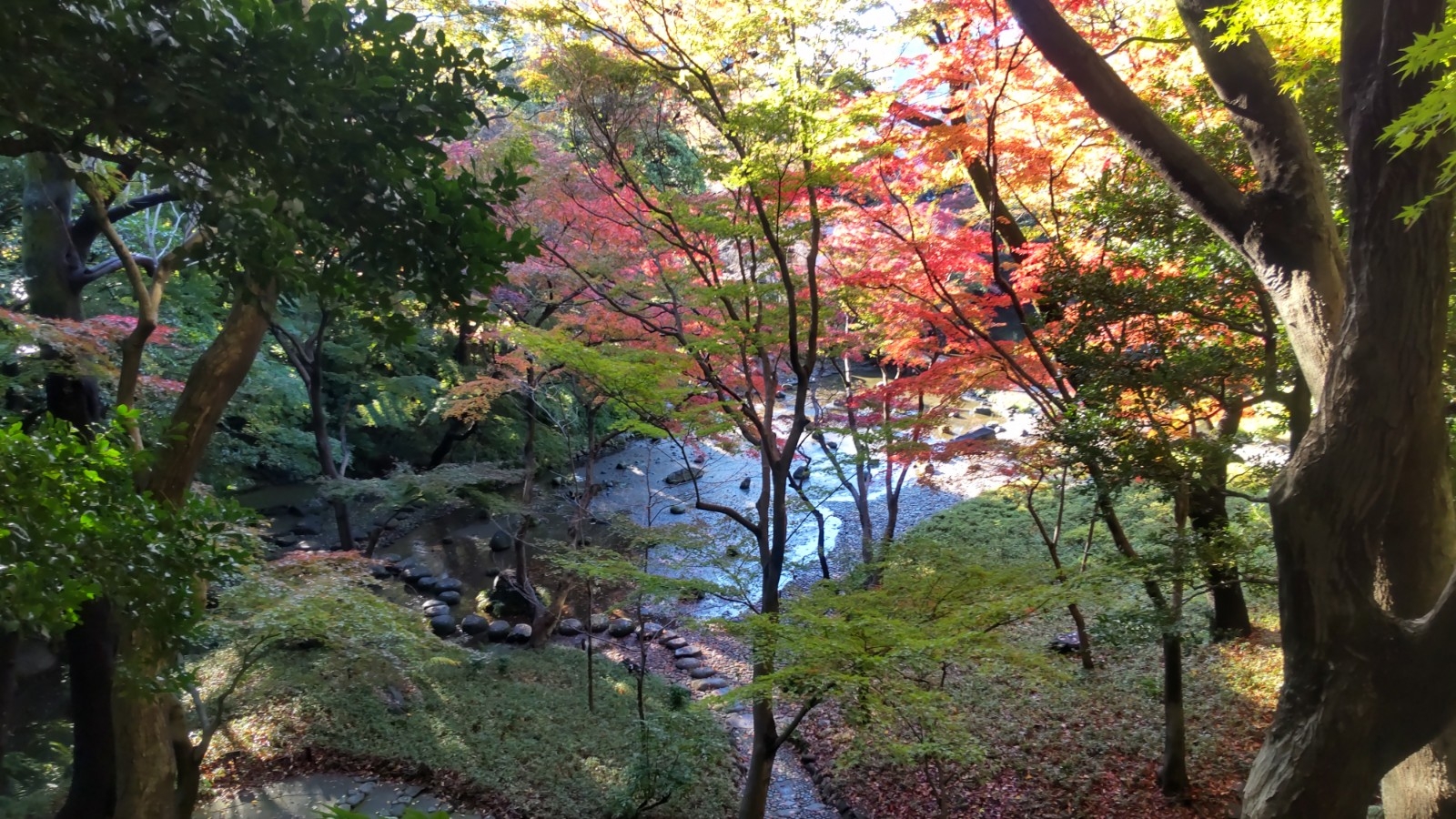 清水観音堂からのながめ(※イメージ)