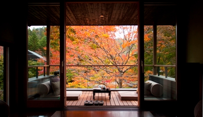 IT1QqChXKkv1Ue6TTB3V.jpg?w=940&h=940