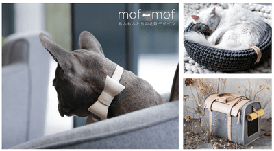 ITYck5ZjC55qadUSl6B9.png?w=940&h=940