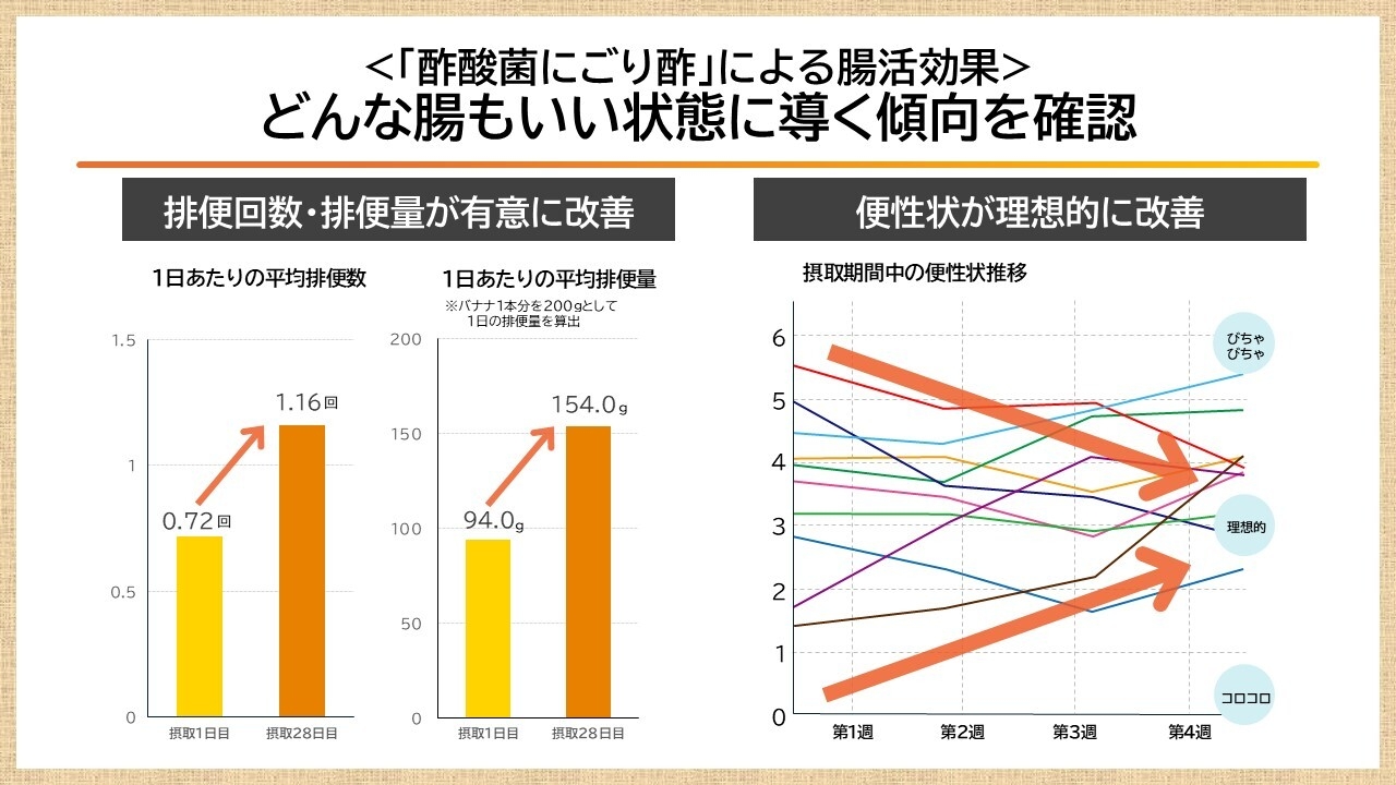 酢酸菌はどんな腸もいい状態に導く