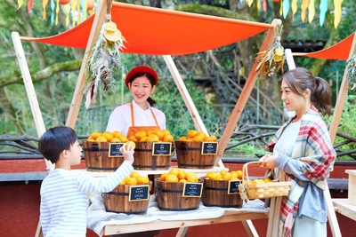 IWOITQFf6xrx4NXDShXS.jpg?w=940&h=940