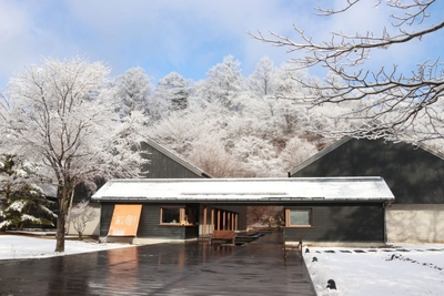 IWrqDQGVFUaSdaA4nPPh.jpg?w=940&h=940