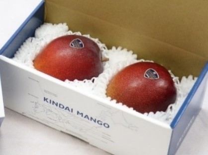 とっておきギフト 近大マンゴー