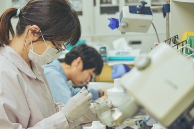 IYSQY8WKLR5kYamqYg6m.jpg?w=940&h=940