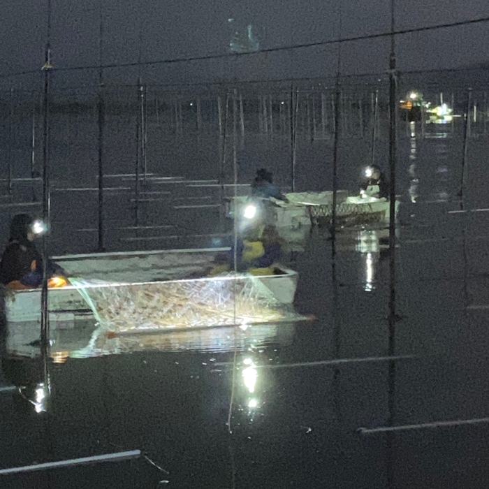 夜中に作業をされる海苔漁師の方々
