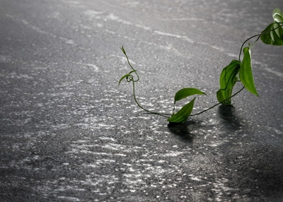 IYtclrUCrxOtHisHz5ZR.jpg?w=940&h=940