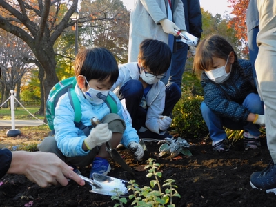 2021年植え付けの様子