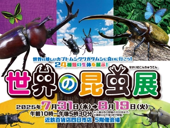 【近鉄百貨店 四日市店】昆虫たちと間近で観察しよう！ 世界の昆虫展