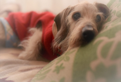 IZSw4kP0bxT4ggu4lkN0.jpeg?w=940&h=940