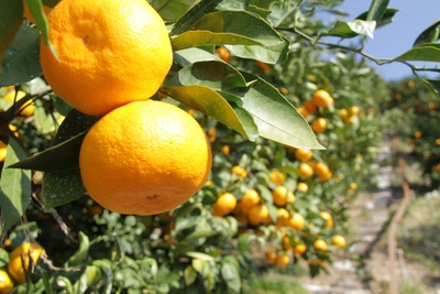 IZaM46XPfZAeWxrswt5X.jpg?w=940&h=940