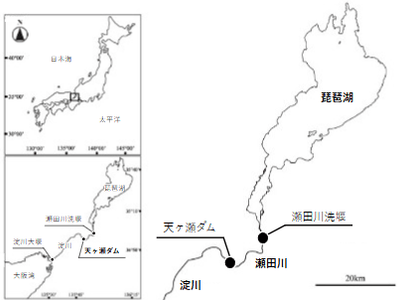 図1　琵琶湖～瀬田川水系における瀬田川の位置